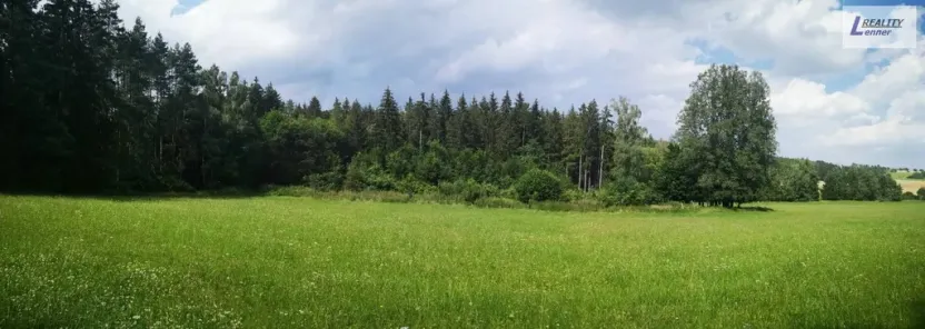 Prodej lesa, Nečín, 59470 m2