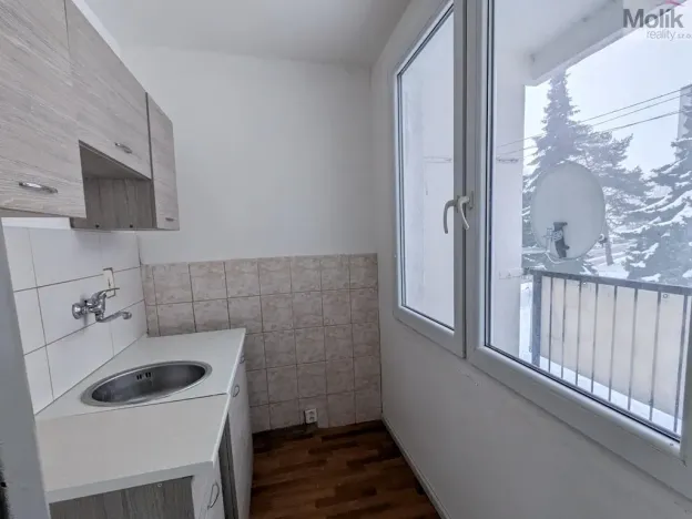 Pronájem bytu 1+kk, Bílina - Pražské Předměstí, Aléská, 28 m2