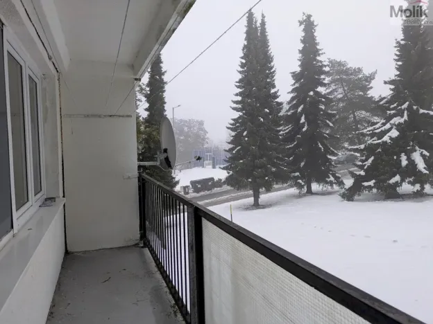 Pronájem bytu 1+kk, Bílina - Pražské Předměstí, Aléská, 28 m2