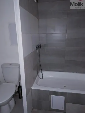 Pronájem bytu 1+kk, Bílina - Pražské Předměstí, Aléská, 28 m2
