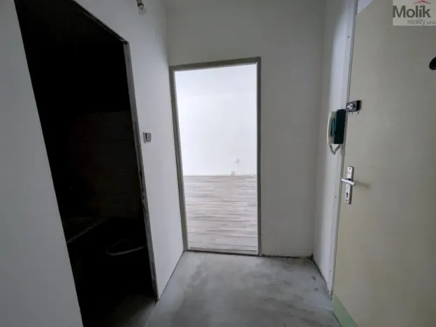 Pronájem bytu 1+kk, Bílina - Pražské Předměstí, Aléská, 28 m2