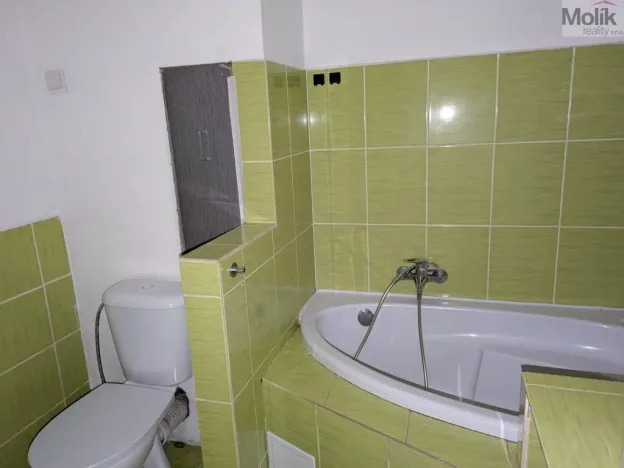 Pronájem bytu 2+1, Bílina - Teplické Předměstí, M. Švabinského, 56 m2