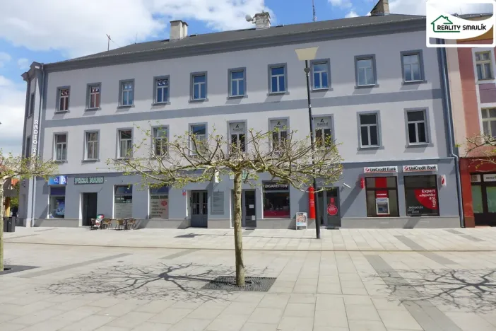 Pronájem kanceláře, Cheb, Svobody, 20 m2