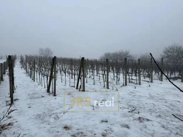 Prodej pozemku, Valtice - Úvaly, 1266 m2