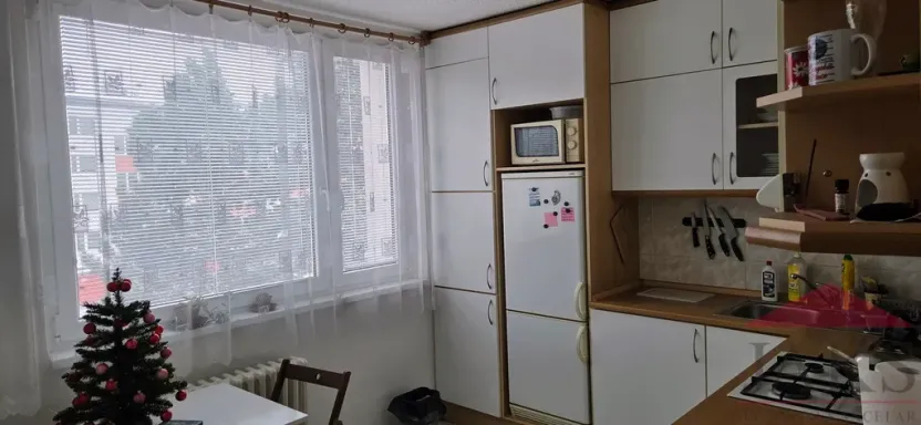 Pronájem bytu 1+1, Jihlava, Březinova, 32 m2