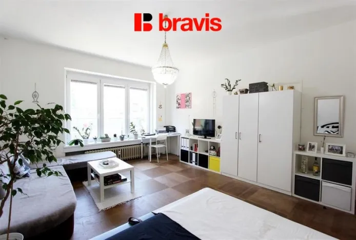 Pronájem bytu 1+1, Brno, Žižkova, 53 m2