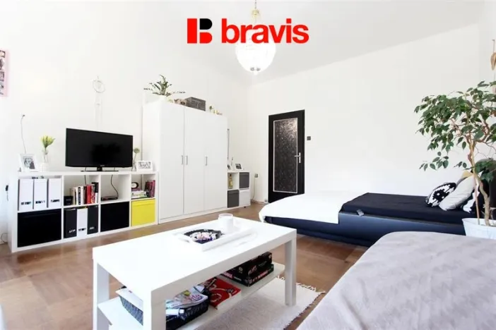 Pronájem bytu 1+1, Brno, Žižkova, 53 m2