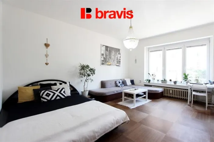 Pronájem bytu 1+1, Brno, Žižkova, 53 m2