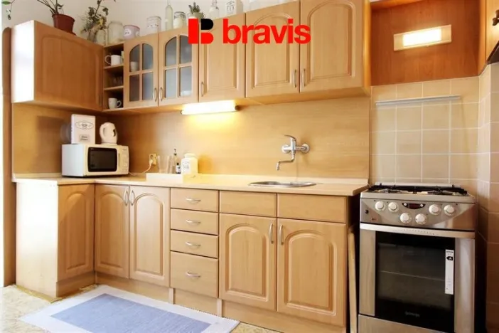 Pronájem bytu 1+1, Brno, Žižkova, 53 m2