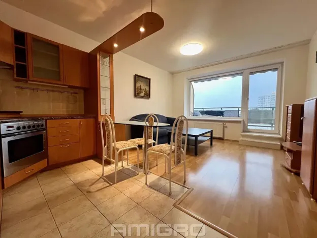 Pronájem bytu 2+kk, Brno, Plachty, 58 m2