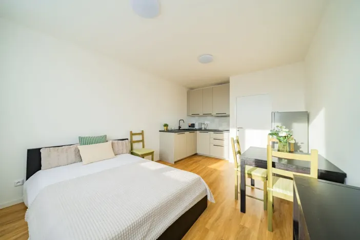 Pronájem bytu 1+kk, Praha - Michle, Bítovská, 25 m2