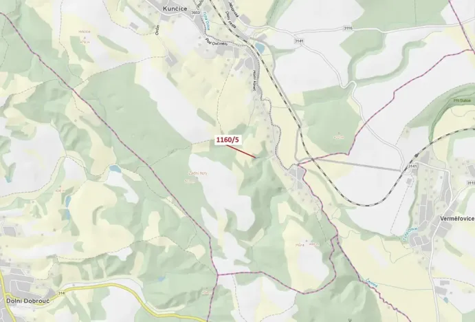 Dražba lesa, Letohrad, 282 m2