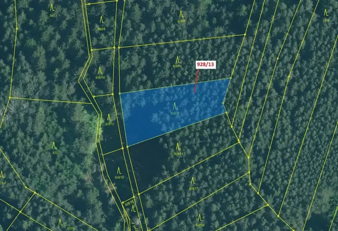 Dražba lesa, Hosty, 1803 m2