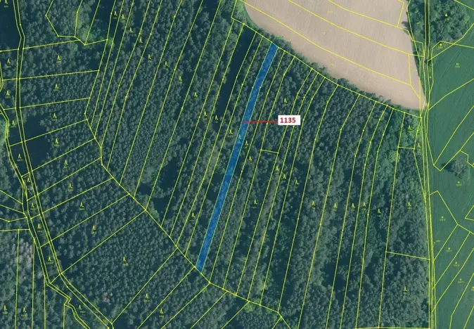 Dražba lesa, Hosty, 1789 m2