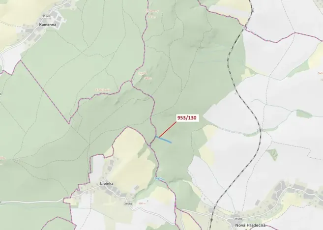 Dražba lesa, Nová Hradečná, 5079 m2