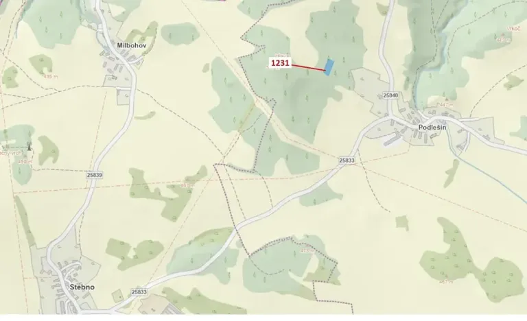 Dražba lesa, Stebno, 1462 m2