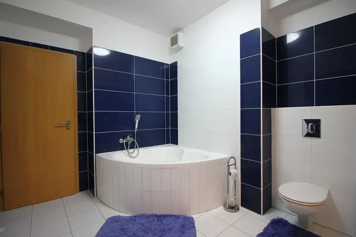 Pronájem bytu 2+kk, Brno, Purkyňova, 60 m2