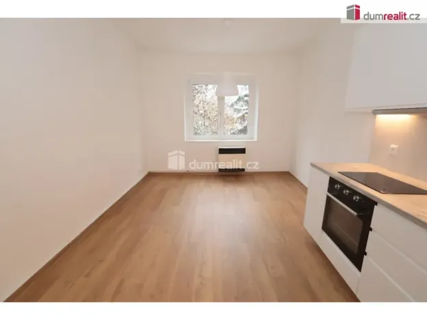 Pronájem bytu 2+kk, Praha - Vinohrady, Mrštíkova, 57 m2