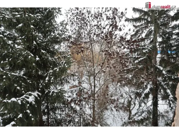 Pronájem bytu 2+kk, Praha - Vinohrady, Mrštíkova, 57 m2