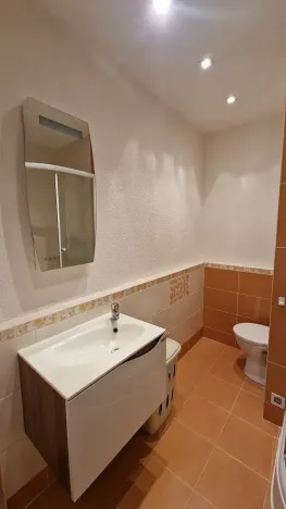 Pronájem bytu 1+kk, Plzeň, Jesenická, 32 m2