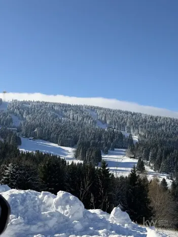 Prodej rodinného domu, Loučná pod Klínovcem, 486 m2