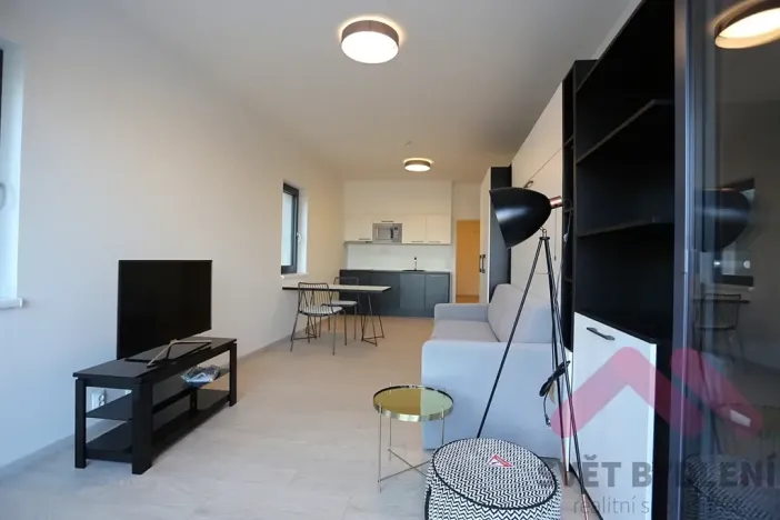 Pronájem bytu 1+kk, Praha - Karlín, U Mlýnského kanálu, 40 m2