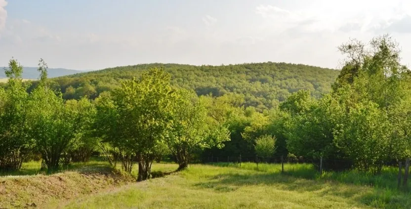 Prodej pozemku pro bydlení, Zlobice, 828 m2