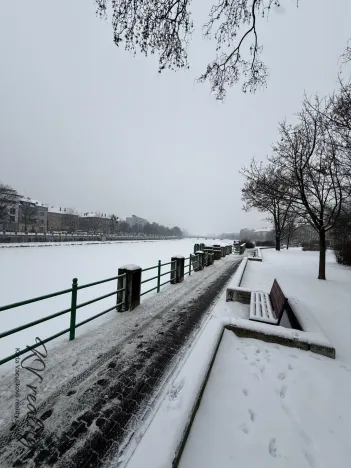 Prodej bytu 3+1, Přerov - Přerov I-Město, Tržní, 64 m2