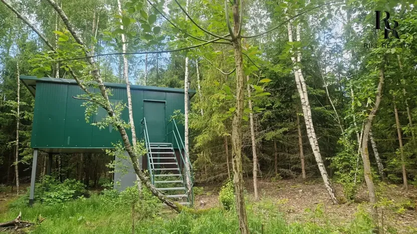 Prodej lesa, Hlubočky, 6680 m2