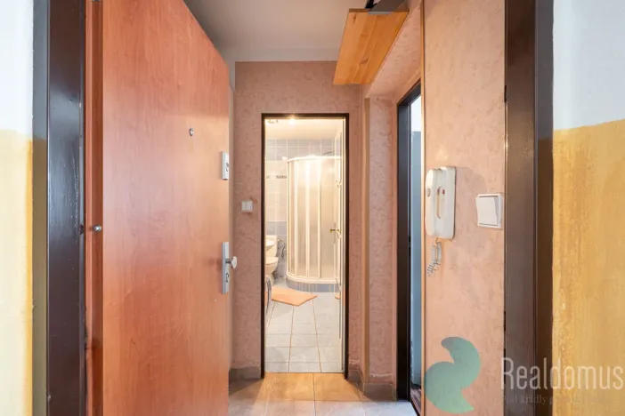 Prodej bytu 1+1, Lišov, třída 5. května, 42 m2