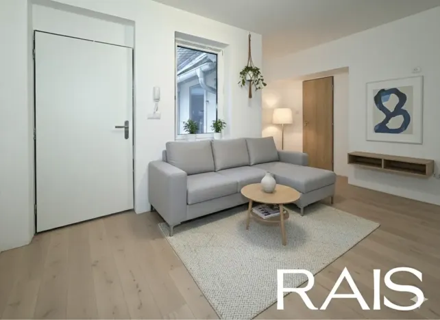 Prodej bytu 1+1, Brno, 33 m2