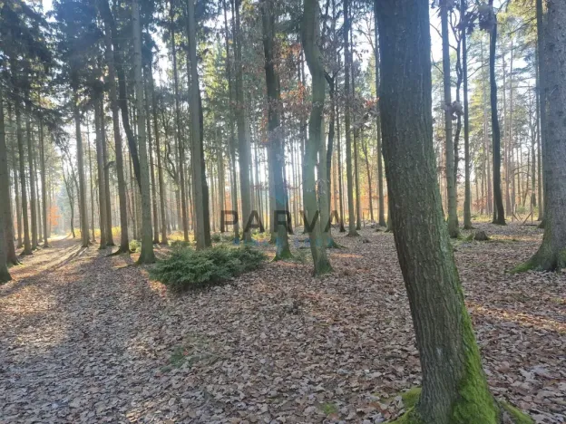 Pronájem bytu 3+1, Praha - Chodov, Láskova, 71 m2