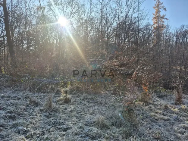 Pronájem bytu 3+1, Praha - Chodov, Láskova, 71 m2