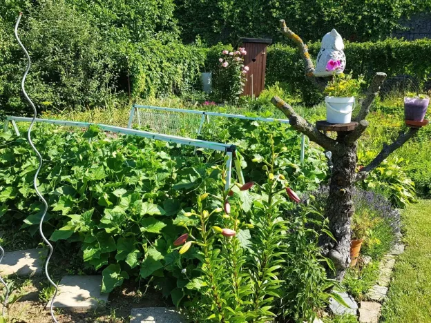 Prodej zahrady, Kroměříž, Kaplanova, 529 m2