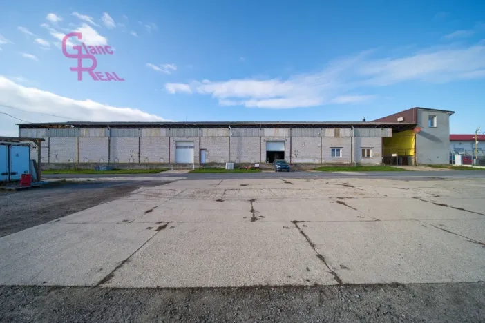 Prodej výrobních prostor, Těmice, 2178 m2