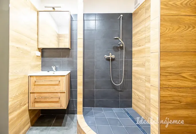 Pronájem bytu 3+kk, Praha - Chodov, Nechvílova, 67 m2