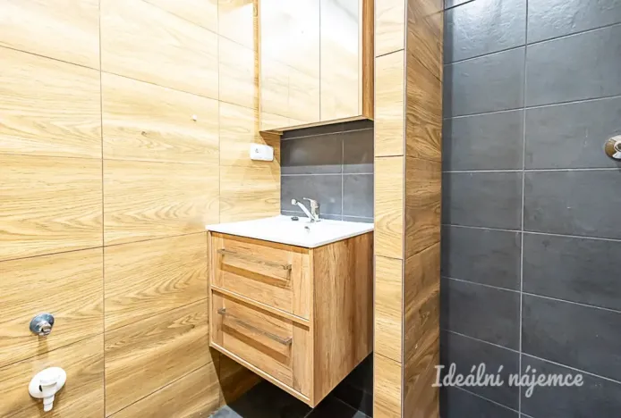 Pronájem bytu 3+kk, Praha - Chodov, Nechvílova, 67 m2