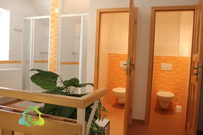 Pronájem rodinného domu, Nižbor - Stradonice, 350 m2