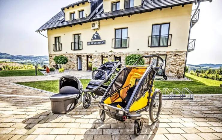 Prodej bytu 2+kk, Červená Voda - Mlýnický Dvůr, 180 m2