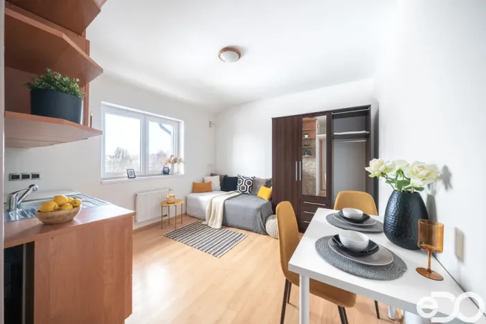 Prodej bytu 1+kk, Šestajovice, Revoluční, 17 m2