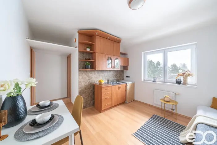 Prodej bytu 1+kk, Šestajovice, Revoluční, 17 m2