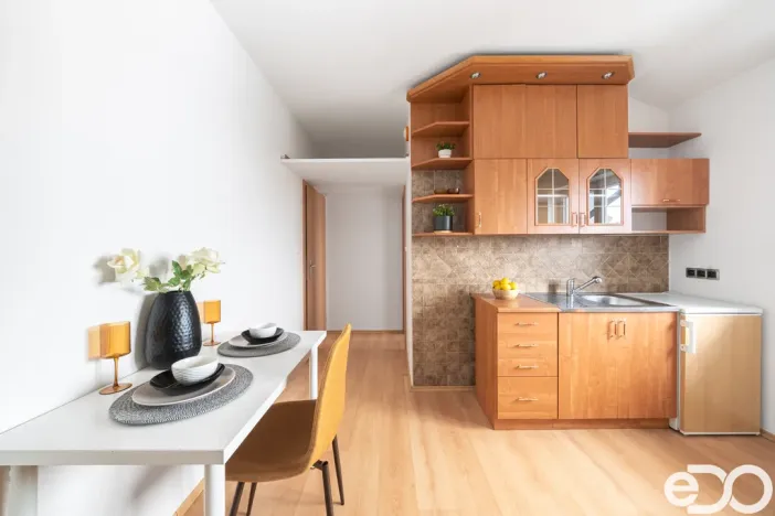 Prodej bytu 1+kk, Šestajovice, Revoluční, 17 m2