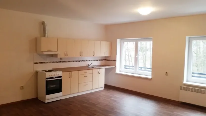 Pronájem bytu 1+kk, Bílý Potok, 39 m2