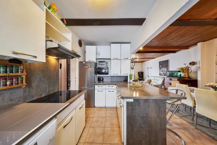 Prodej vícegeneračního domu, Vrchlabí, J. Kablíkové, 252 m2