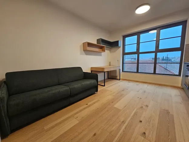 Pronájem bytu 1+kk, Brno, Bratislavská, 26 m2