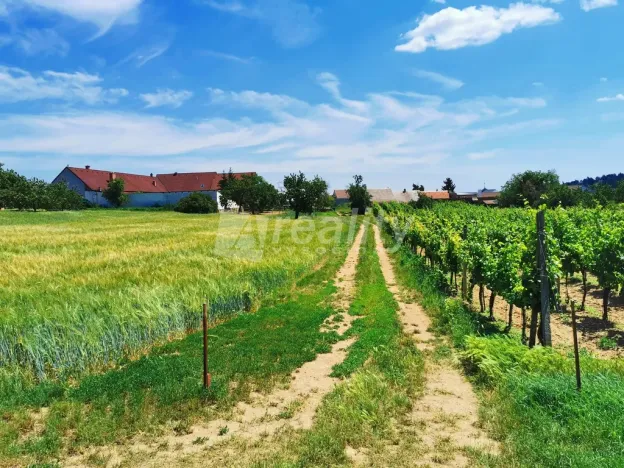 Prodej pozemku pro bydlení, Miroslav, 934 m2