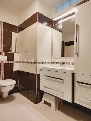 Pronájem bytu 2+kk, České Budějovice - České Budějovice 2, Volejbalistů, 52 m2