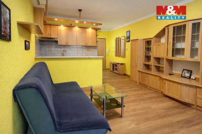 Pronájem bytu 1+kk, Strakonice - Přední Ptákovice, Šumavská, 25 m2