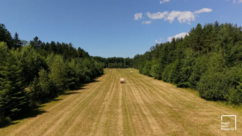 Prodej komerčního pozemku, Čejkovice, 121779 m2