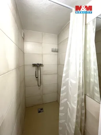 Pronájem obchodního prostoru, Ostrava - Vítkovice, Zengrova, 100 m2